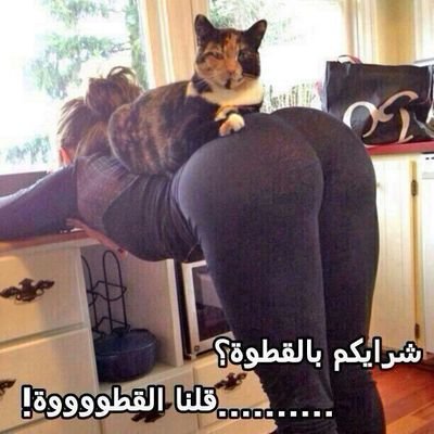 ‏‏‏انا فحل عمري 33 كتوم بسريه تامه من الاحساء جاد وكاش ابي بنت او سالب من الاحساء جاد