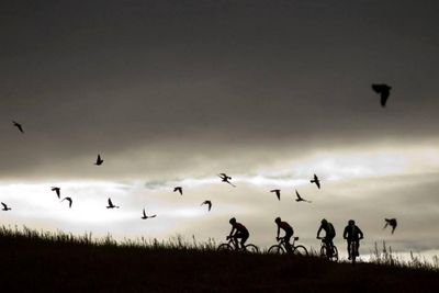 nadirsargn's profile picture. 