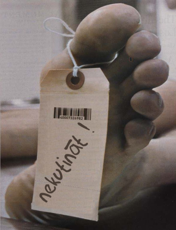 2oldbabies's profile picture. 