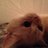 GennaNevison's profile image