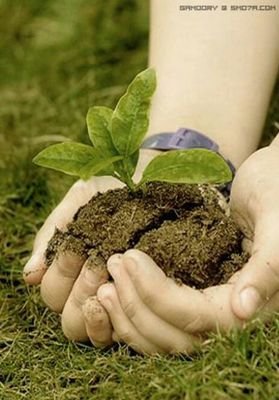 tamohamor1434's profile picture. ...طموحي جنة ربي....