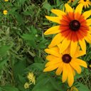 Tingting Wu - @596111080 - Twitter