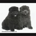 cntdeletethis - @MissHollyGeorge - Twitter