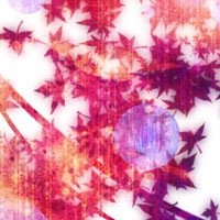 朱 (@pudding_real) 's Twitter Profile