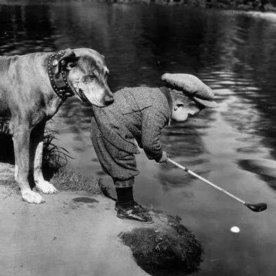 kiedyotwarte's profile picture. Dyskutuję o faktach, a nie o komentarzach do komentarzy. Blokuję bez ostrzeżenia za chamstwo i wulgaryzmy.