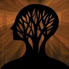 A human force stronger than logic
far beyond the focus and the grander ideas