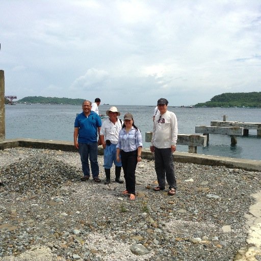CCIL MINING & MINERAL RESOURCES CORP