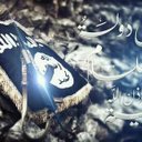 أسد العراق (@58b3a7b9eb81457) Twitter