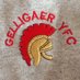 Gelligaer YFC (@gelligaeryfc) Twitter profile photo