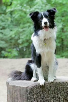 kenny910's profile picture. 