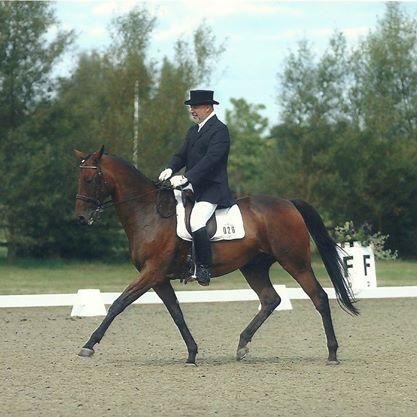 JulianCTraining's profile picture. Experienced instructor & rider.
 Listed dresssage judge. Preparation for BHS EQL Exams. National/International Assessor/examiner