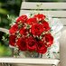 رحمة (@alrahma23) Twitter profile photo