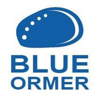 blueormer (@blueormer) 's Twitter Profile