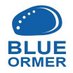 blueormer (@blueormer) Twitter profile photo