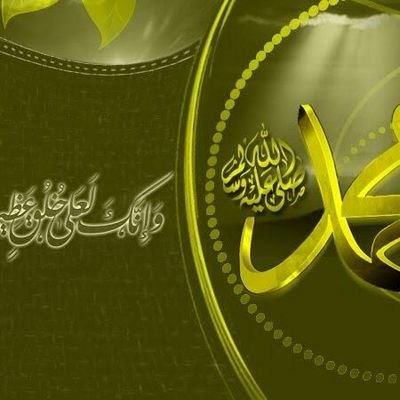 GaisiMoh's profile picture. 