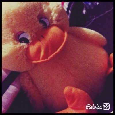 MrSuckyDucky's profile picture. 