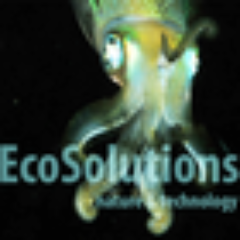 Join EcoSolutions to find alternative, innovative solutions and share with eco-conscious peers at http://t.co/PijMUbt6