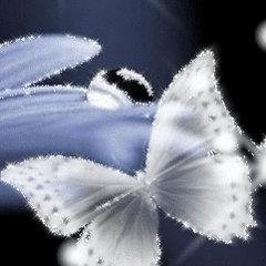 BirgitV07174363's profile picture. 