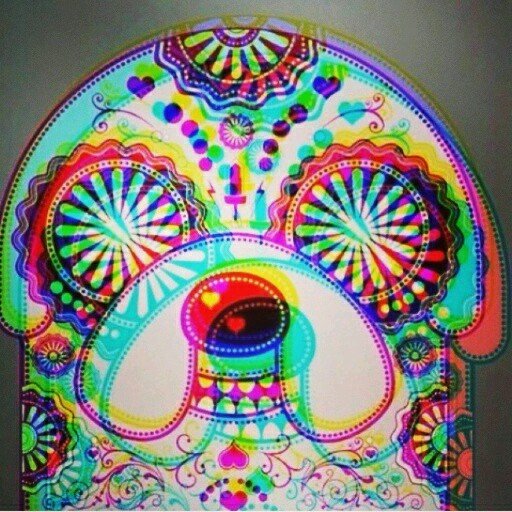 ImogenGrounds's profile picture. 