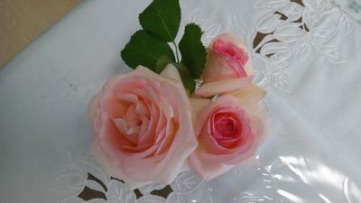 negoさんのプロフィール画像