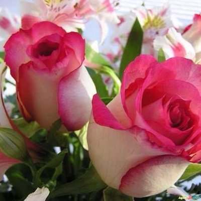 kmya4's profile picture. 