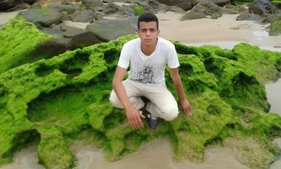 my hawce