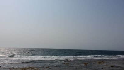 assaf_alawaji's profile picture. 