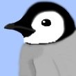 penguintexi Profile Picture