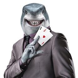 Fully house dealer dealt tournaments and cash games. Kepp an eye on our new tournaments as we look to improve more and more each month! Come play!