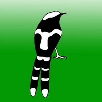 Oriental Bird Club (@orientbirdclub) 's Twitter Profile