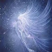 LauraOf TheLight (@lauraofthelight) 's Twitter Profile