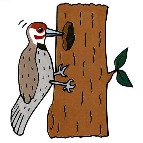 WoodleaPS's profile picture. Woodlea Primary School - PROUD. We are a one form entry school - Nursery to Year 6.