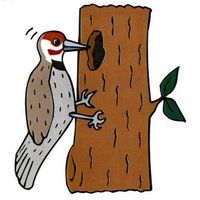 Woodlea Primary (@woodleaps) 's Twitter Profile