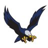 ExeterAthletics's profile picture. The official Twitter account for the Exeter Township School District Athletic Department