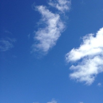 AnnLand07's profile picture. 