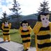 Stephenville Primary (@stephenvillepri) Twitter profile photo Stephenville Primary (@stephenvillepri) Twitter profile photo