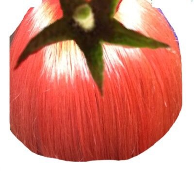 とまと。さんのプロフィール画像