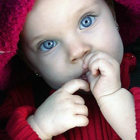 mahaismaeil's profile picture. 