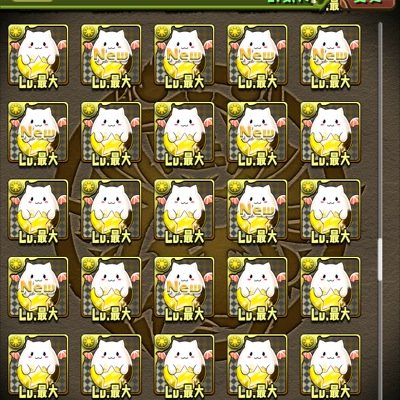 パスドラ 白猫
ソニア 呂布 基本リーダー