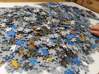 sau8881's profile picture. 하하