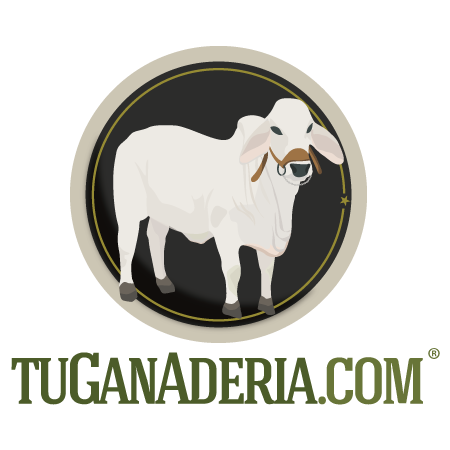 http://t.co/zrJFGHPHGa es un portal web para comprar y vender ganado, caballos, fincas y maquinaria agrícola. NO COBRAMOS COMISION