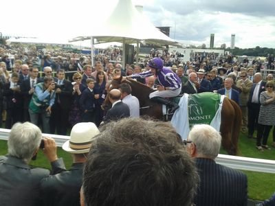 NPowergrid's profile picture. no profit in peace