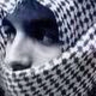 يا مادح الانذال مدحك خسارة وراك ما تمدح هل الفضل والجود اللي يشوفون المدايح تجارة واعراضها ماحشها علم منقود