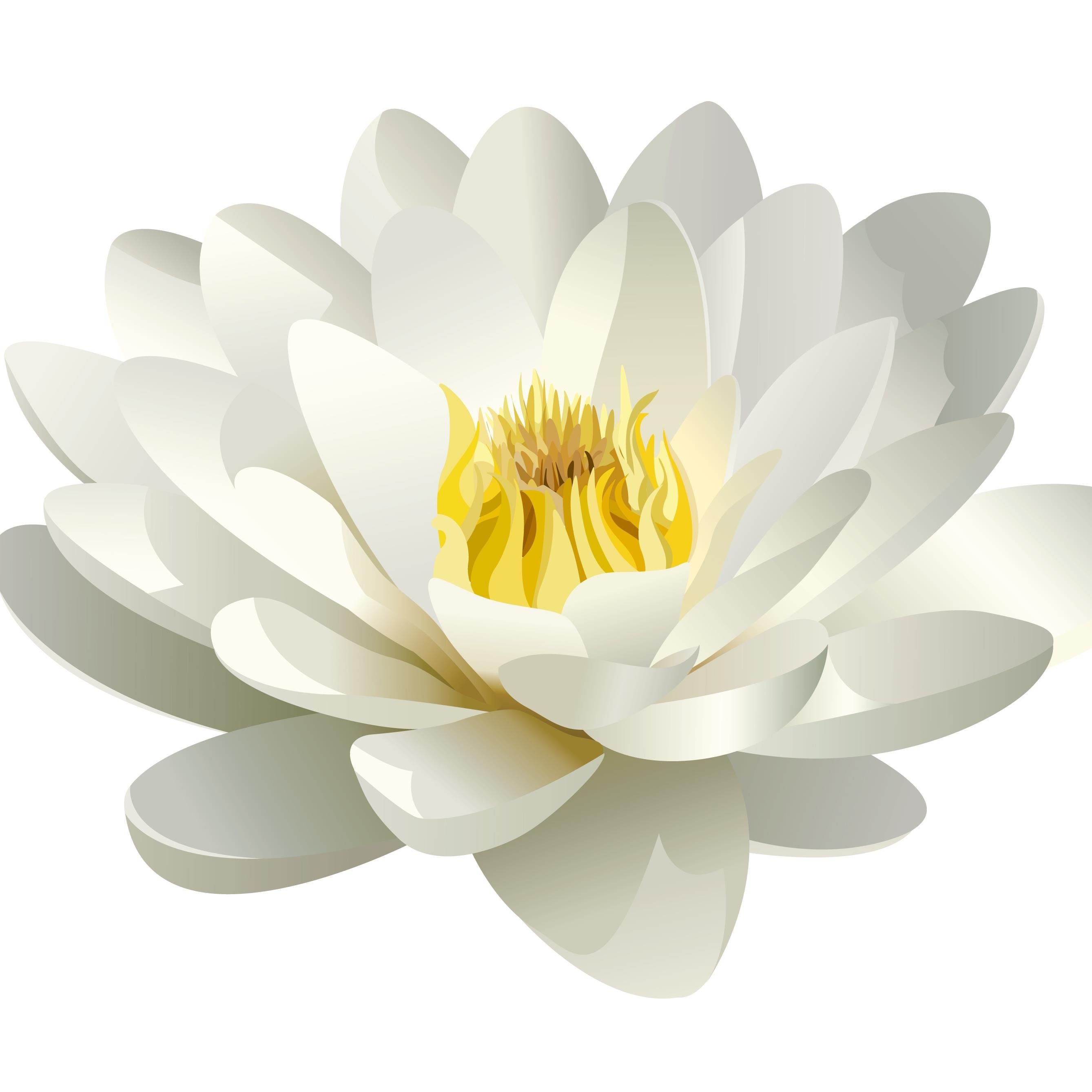 NahidsSalonSpa's profile picture. Whether you are looking for a medispa or day spa, a hair or nail service, or your one stop-beauty shop, we look forward to welcoming you to your urban escape