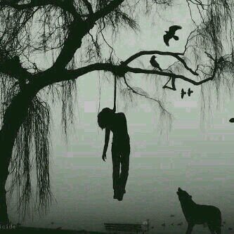 7FA63E6F