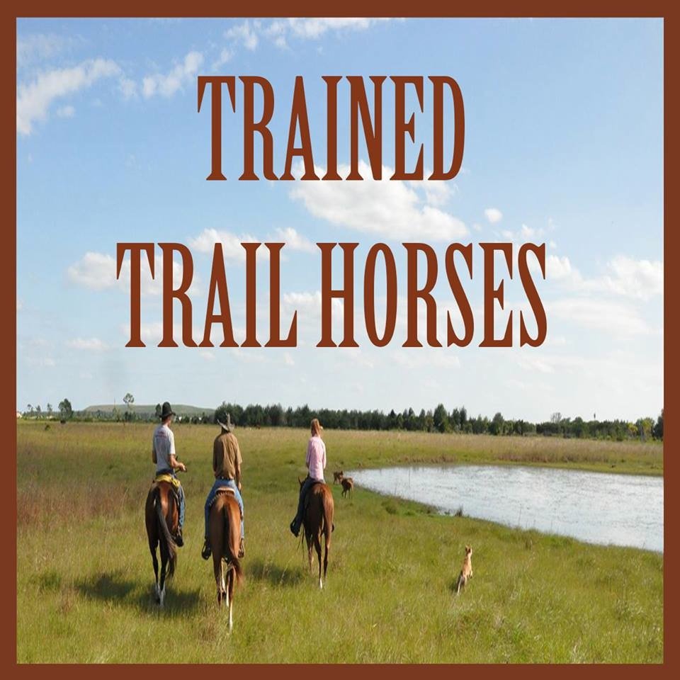 Trained Trail Horses combines fine breeding and optimal training centers to provide the ultimate of horses. (561) 600-4752