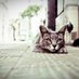 noune (@melyfloflo) Twitter profile photo
