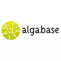 algabase(@algabase) 's Twitter Profileg