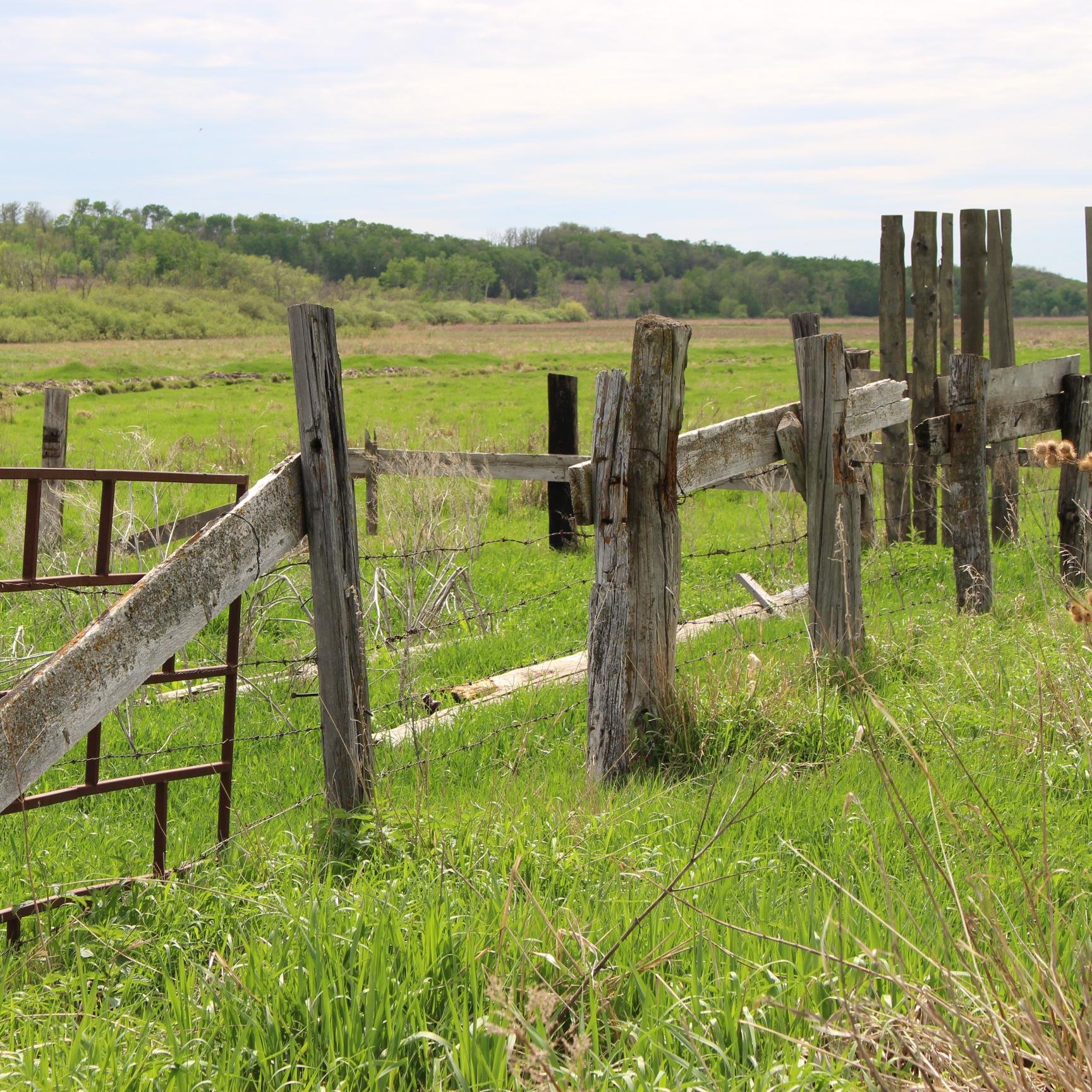 Hwinnipeg's profile picture. 