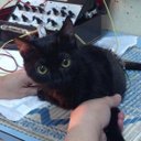 Ebony Pearl - @curiousebs - Twitter